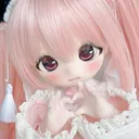 The Doll House