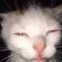 Drogs werid server