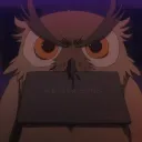NIGHT OWLS