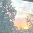 Poly relationship 🌺 Discord server icon