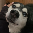 DATE A PUPPY Discord server icon