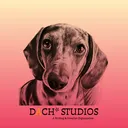 DACH* Studios