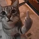 Random Friends!'s icon