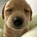 Neighbour Smp Discord server icon