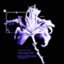 𝘈𝘮𝘦𝘵𝘩𝘺𝘴𝘵 𝘛𝘦𝘢𝘳𝘴