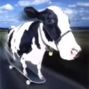 No aceptamos heterosexuales Discord server icon