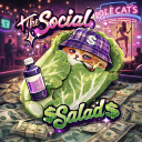 The Social Salad 🥗 Discord server icon