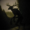 𝔉orest 𝔒𝔣 𝐅orgotten 𝚂𝚘𝚞𝚕𝚜 Discord server icon