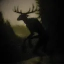 𝔉orest 𝔒𝔣 𝐅orgotten 𝚂𝚘𝚞𝚕𝚜