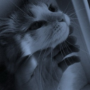 Flipside !! Discord server icon