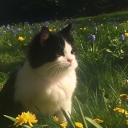 VERY CHILL SERVER Discord server icon