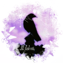 𐔌 𝖈𝒅𝒅 𝖍𝒊𝒅𝒆𝒐𝒖𝒕 ｡ৎ Discord server icon