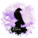 𐔌 𝖈𝒅𝒅 𝖍𝒊𝒅𝒆𝒐𝒖𝒕 ｡ৎ