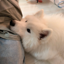 rawr Discord server icon