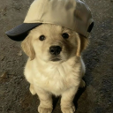 𝓢𝓾𝓷𝓷𝔂 𝓛𝓸𝓾𝓷𝓰𝓮 Discord server icon