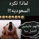 سيرفر زاني#2