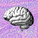 Neuro Navigator 🧠