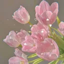 ⋆. 𐙚˚࿔Flowers Bloom𝜗𝜚˚⋆