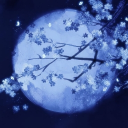 𝑨𝒇𝒕𝒆𝒓 𝑫𝒖𝒔𝒌 .🌑 .˚˖𓍢ִ໋❀ Discord server icon