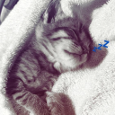 unveil Discord server icon