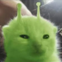 나룻마당 Discord server icon