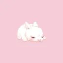 ⋆˚꩜｡Bnuy central⋆˚꩜｡