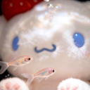 𐙚˚࿔ 𝜗𝜚˚⋆suynnn him⋆. 𐙚 ˚❀⋆.ೃ࿔*:･