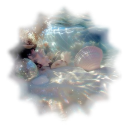 ׄ ෧─   ۪ MOONSHELL COAST !    ׄ   ׅ