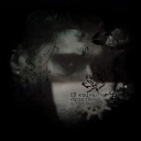 ⌐╦ᡁ᠊╾━ ⌯⁍ dean's fandom cllb 𖦏 Discord server icon