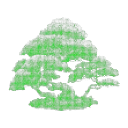 Canopy