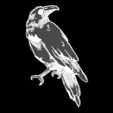 CrowCult Discord server icon