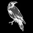 CrowCult