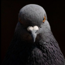 𝗦𝗢𝗡’𝗦 𝗛𝗔𝗡𝗚𝗢𝗨𝗧