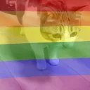 Gay weird guys