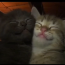 ‧₊˚ ☁⋅₊˚ෆ Discord server icon