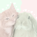 bυᥒᥒιᥴᥲt  ۶ৎ  ₁₄₊ Discord server icon