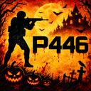 [RUS] CSGO PROJECT 446 icon
