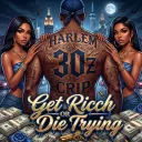 Get R!cch OR D!3 Trying's icon