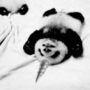 panda plush🐼ྀིᯓᡣ𐭩𐙚 Discord server icon