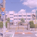 ‧₊🌸˚.⊹₊˚‧₊ 𝓬𝒾𝓉𝓎𝓈𝒾𝒹𝑒 : 𝓸𝒸 ₊‧˚₊⊹‧₊🎀˚. Discord server icon