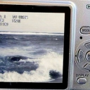 introverted ocean 🌊 [mlbb squad] Discord server icon