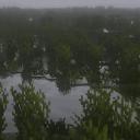 PETRICHOR,,