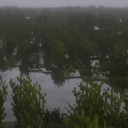 PETRICHOR,, Discord server icon