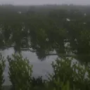 PETRICHOR,,