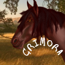 ❛❛ECOS ; 𝓒𝓻𝓲𝓶𝓸𝓻𝓪❜❜ Discord server icon