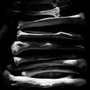ribcage
