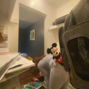 Stellar Wolf Tavern Discord server icon