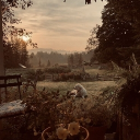 𐙚🧸ྀི.  Camp Woodlog Discord server icon