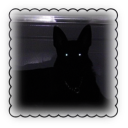 𐂯︔ the  pound Discord server icon