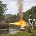 Lawnbrussel's CFB Fantasy Discord server icon